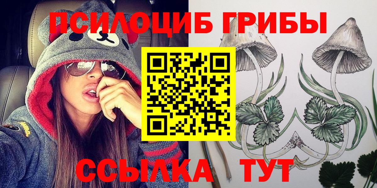 Псилоцибиновые грибы Psilocybine cubensis Бузулук