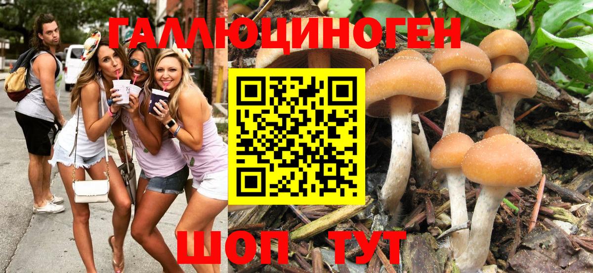Галлюциногенные грибы Cubensis  Галлюциногенные грибы Magic Shrooms  Бузулук  наркотики  Вход с VPN 